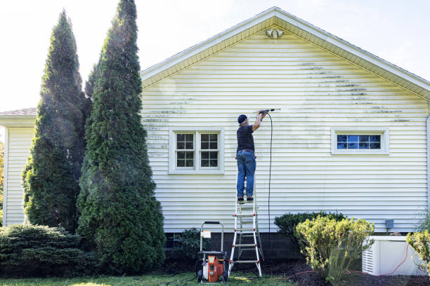 Best Fence Cleaning  in Divernon, IL